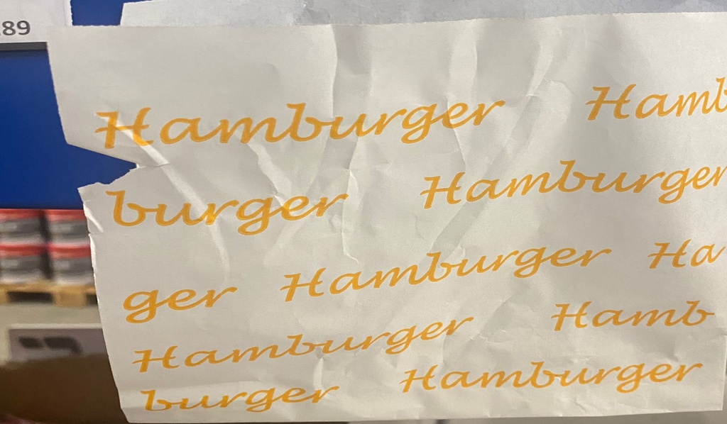 Hamburger Zakken Oranje 16x16 500ST